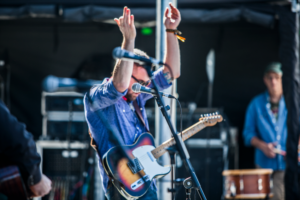 Leroy Townes @ Borderland Music + Art Festival