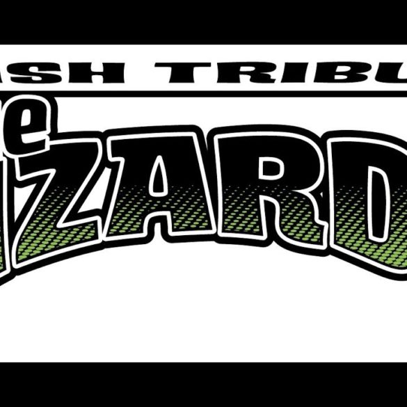 LIVE: The Lizards – Phish Tribute
