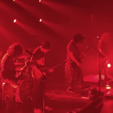 Pigeons Playing Ping Pong – Sunny Day Pigeons Playing Ping Pong – Sunny Day