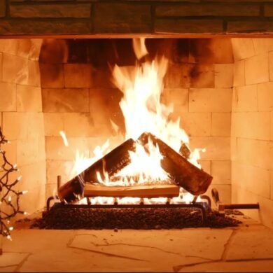 Grateful Dead Yule Log 2022 Grateful Dead Yule Log 2022