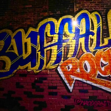 LIVE STREAM: Pink Talking Fish @ Buffalo Iron Works LIVE STREAM: Pink Talking Fish @ Buffalo Iron Works