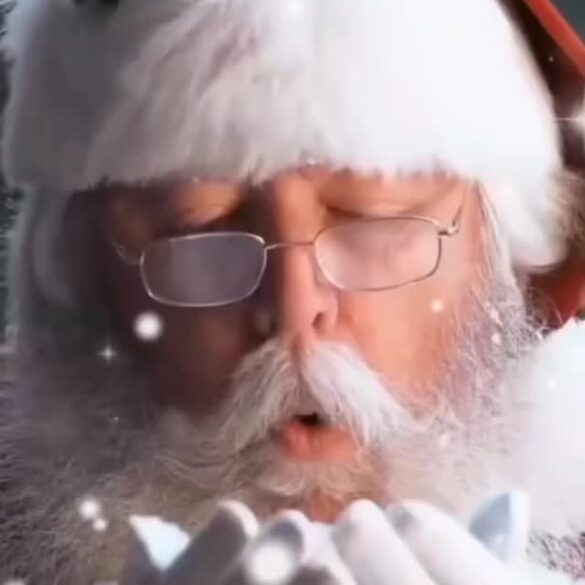 Junior Jerry Jam holiday shakedown street