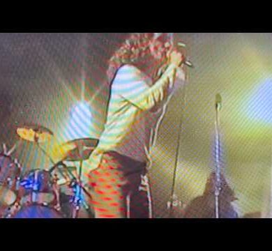 The Tails – Revolution Song LIVE The Tails – Revolution Song LIVE